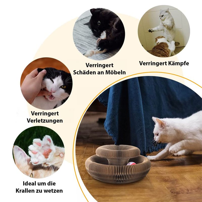 Katzen Kratzspielzeug 4er Set Kratzorgel Haustierspielzeug Ballspiel