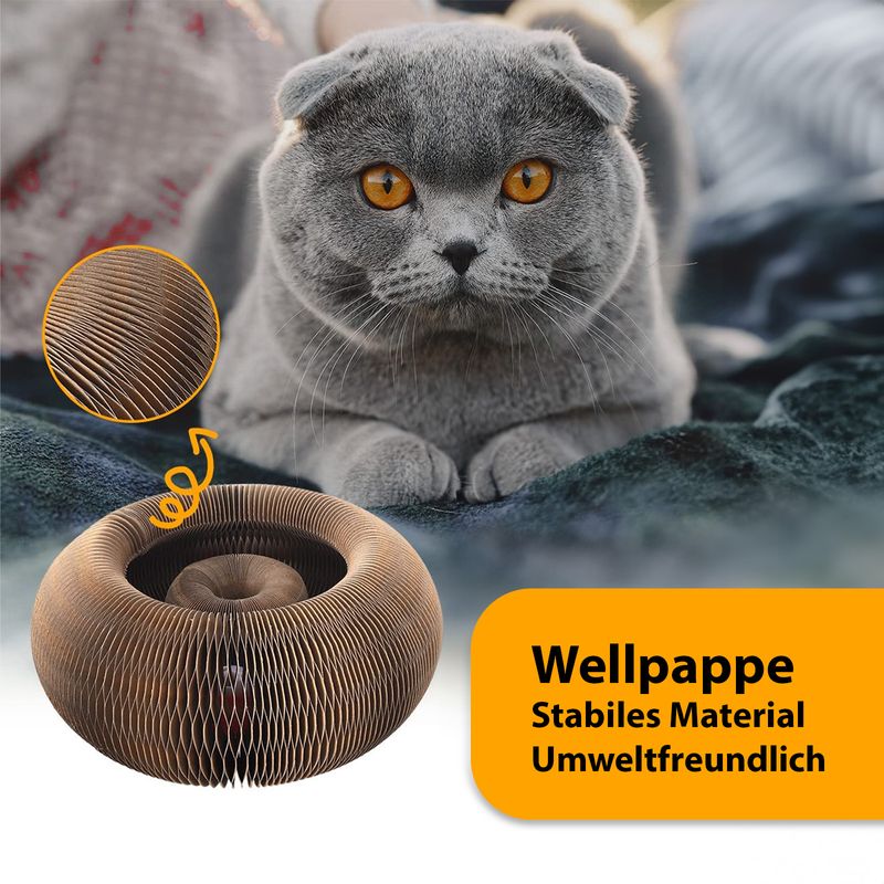 Katzen Kratzspielzeug 4er Set Kratzorgel Haustierspielzeug Ballspiel