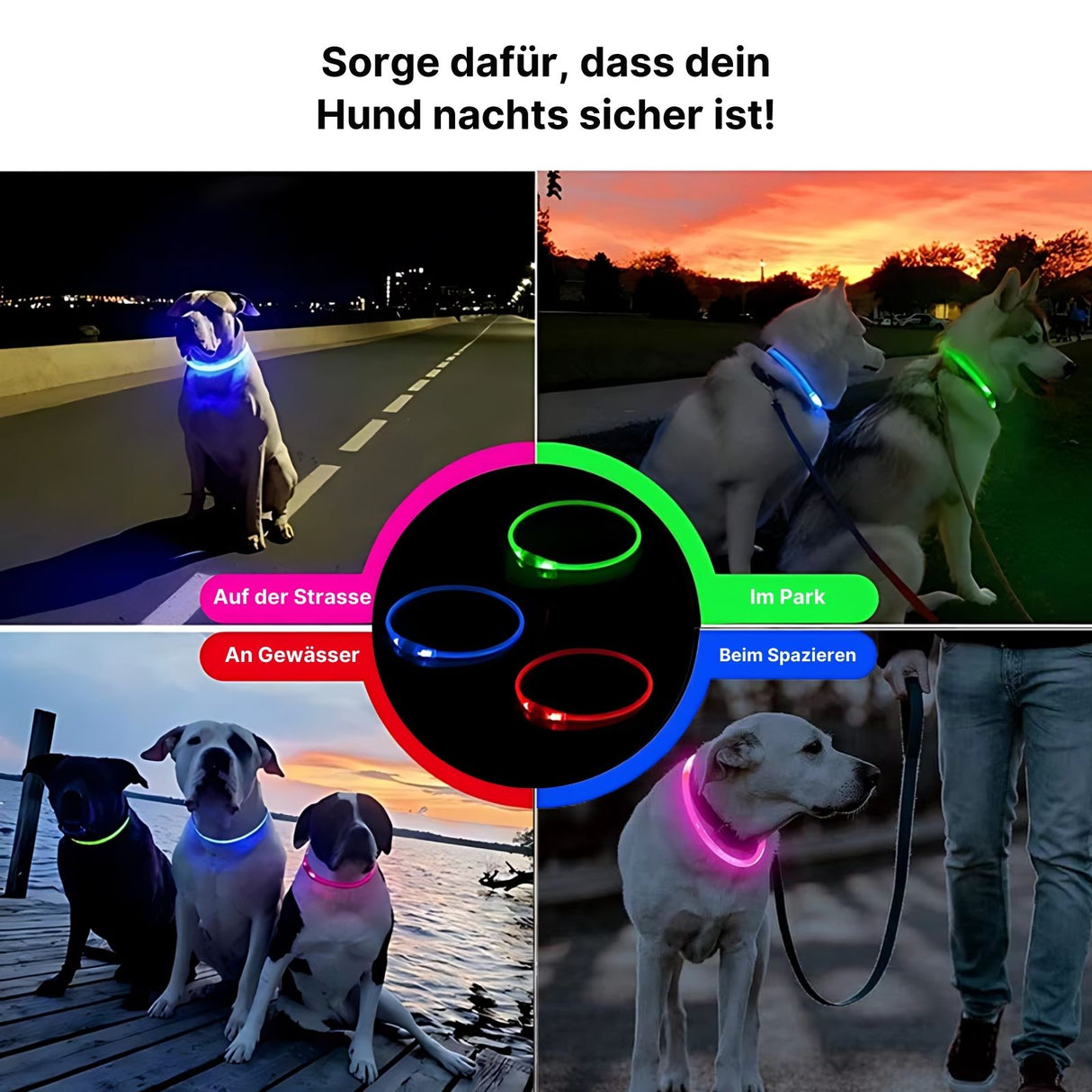 LED-Hundehalsband Sicherheits-Hundehalsband Leuchthalsband Schlauchhalsband