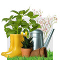 Garten + Balkon