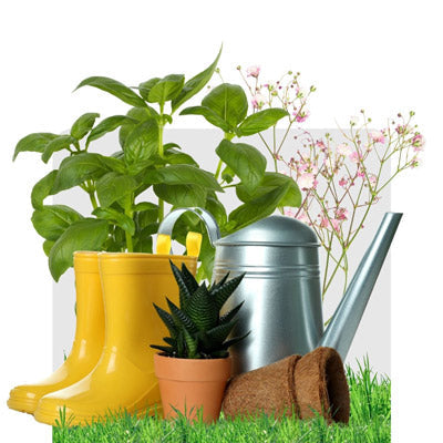 Garten + Balkon