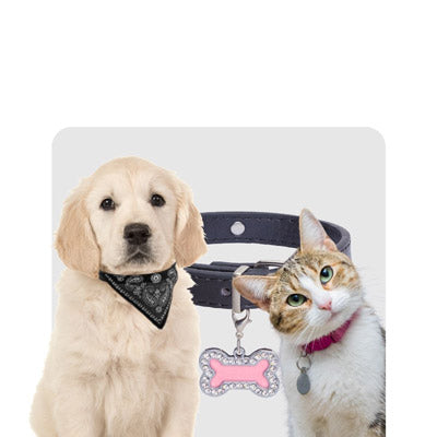 Tieraccessoires