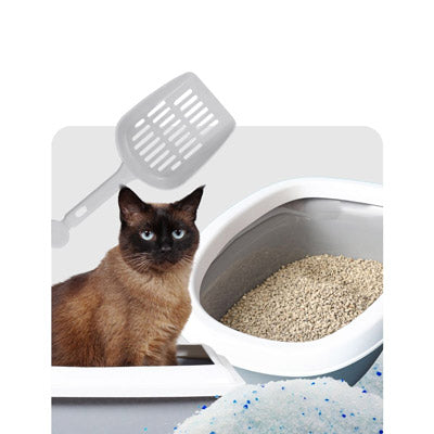 Tierhygiene