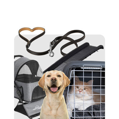 Tiertransport