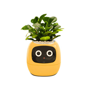 Elektronischer Blumentopf Smarter Blumentopf USB-Pflanzenübertopf Smart Plant Pot Ivy Smart Planter