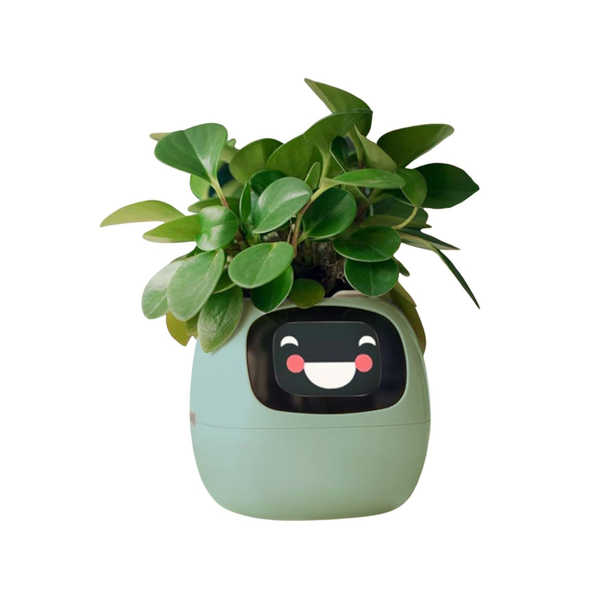Smart Plant Pot Elektronischer Blumentopf USB-Pflanzenübertopf Smarter Blumentopf Ivy Smart Planter