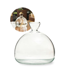 Avocado-Blumentopf Avocado-Anzucht Hydrokultur-Vase Glas-Pflanztopf