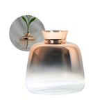 Dekovase Blumenvase Designvase Tischvase Glasvase