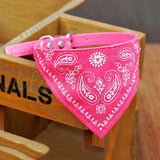 Hundehalsband mit Tuch Bandana Katze Einstellbar Leder Stoff M PINK