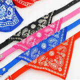 Hundehalsband mit Tuch Bandana Katze Einstellbar Leder Stoff M PINK