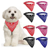 Hundehalsband mit Tuch Bandana Katze Einstellbar Leder Stoff XS PINK