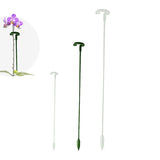 Pflanzen Stützstange Pflanzenstütze Blumenstütze 1 Set - 10 Stück