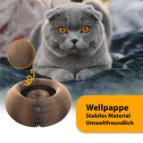 Katzen Spielzeug Ballspiel Haustierspielzeug Kratzspielzeug Kratzorgel