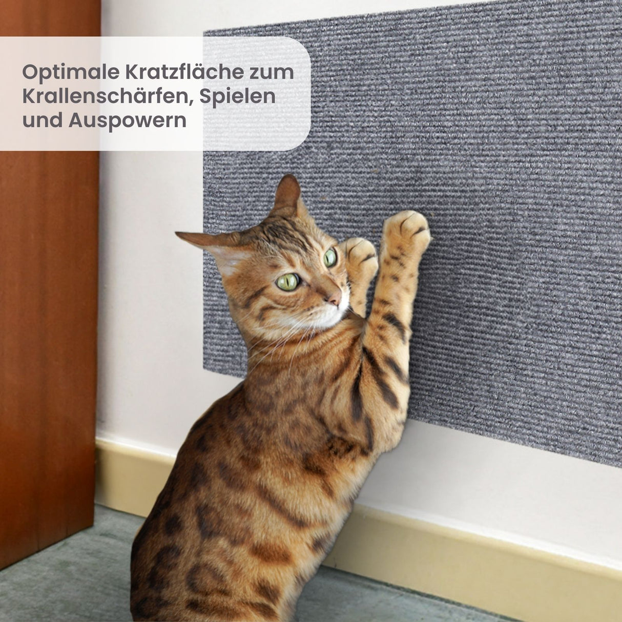 Kratzmatte für Katzen Klettermatte Kratzschutz Kratzbrett Kratzwand