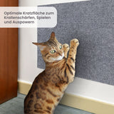 Kratzmatte für Katzen Klettermatte Kratzschutz Kratzbrett Kratzwand