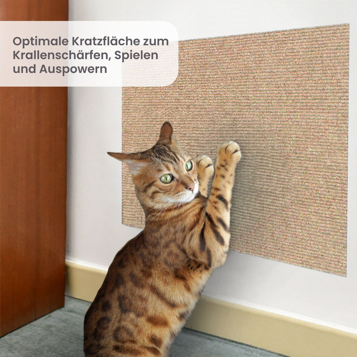 Kratzmatte für Katzen Kratzbrett Kratzwand Klettermatte Kratzschutz