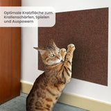 Kratzschutz für Katzen Kratzbrett Kratzwand Klettermatte Kratzmatte