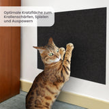 Kratzmatte für Katzen Kratzwand Kratzschutz Kratzbrett Klettermatte
