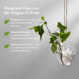 Hängende Glasvase Eiform Blumenvase Vase Dekoration