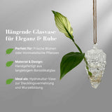 Hängende Glasvase Traubenform Blumenvase Vase Dekoration