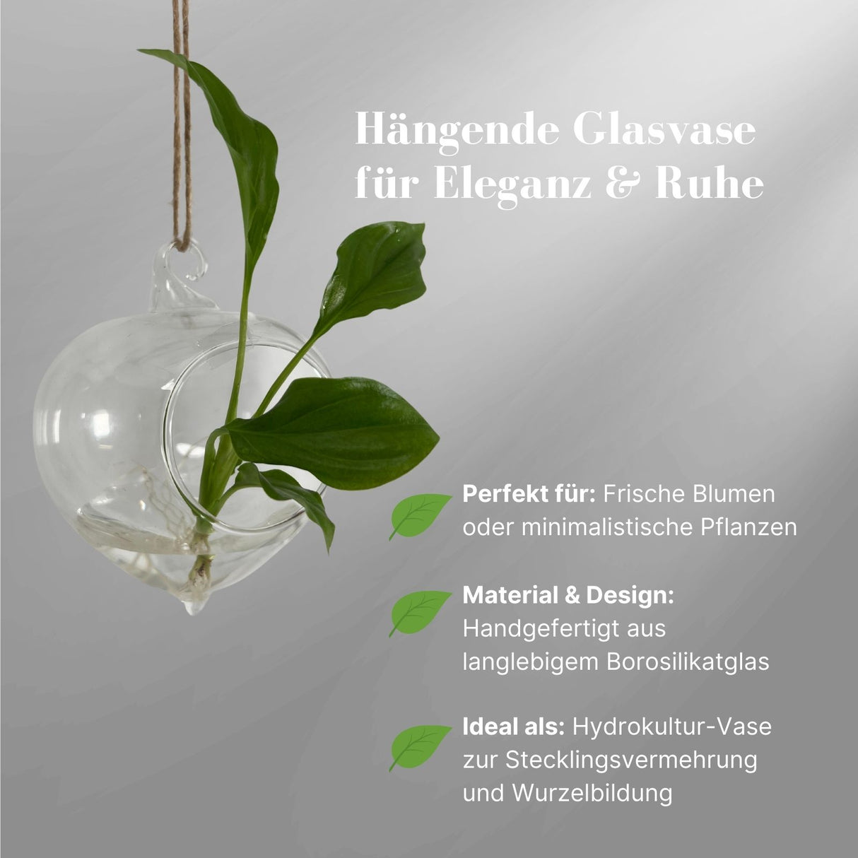 Hängende Glasvase Zwiebelform Setzlingvase Vase Dekoration