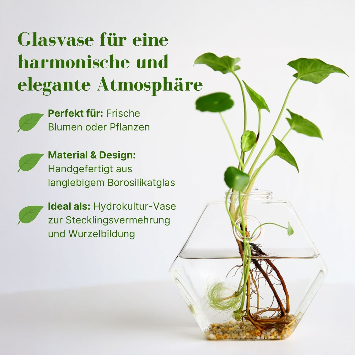 Stehende Glasvase Hexagonform Blumenvase Vase Dekoration