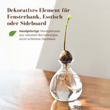 Avocadobaum-Glas Avocado-Vase Hydrokultur-Vase Hyazinthenglas