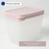 3er-Set Meal-Prep-Dosen Boxen Aufbewahrungsdosen Frischhaltedosen