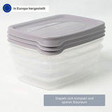 3er-Set Boxen Meal-Prep-Dosen Frischhaltedosen Aufbewahrungsdosen
