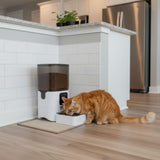 Automatischer Futterautomat für Katzen und Hunde Futterspender Napf