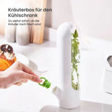 Kräuter-Aufbewahrungsbehälter Frischhaltebox für Kräuter Frischebox