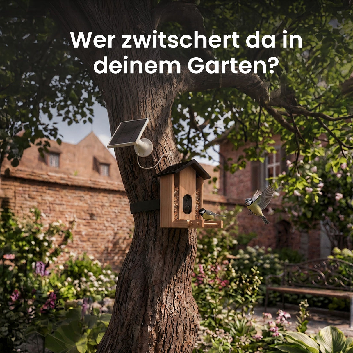 Vogel-Futterautomat mit Kamera und Solar Vogelfutterhaus Futterspender