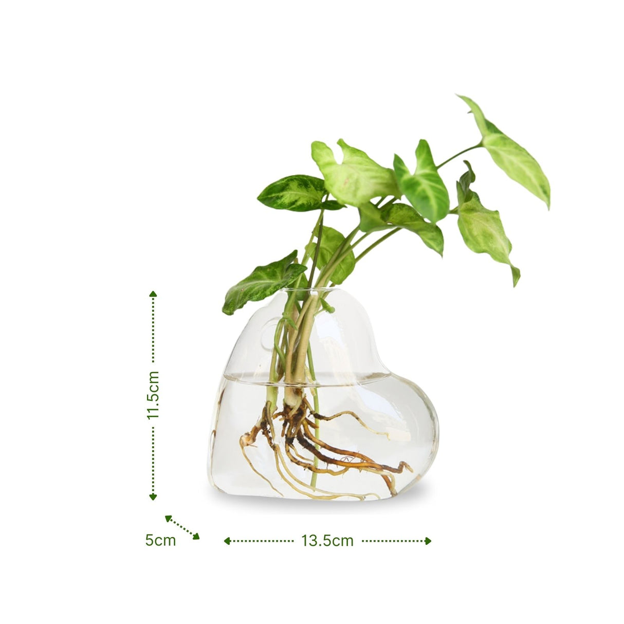 Stehende Glasvase Herzform Blumenvase Vase Dekoration