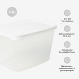 3er-Set Meal-Prep-Dosen Frischhaltedosen Aufbewahrungsdosen Boxen