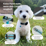Katzenhalsband mit Airtag-Halterung Halsband Hundehalsband