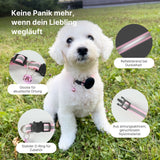 Hundehalsband mit Airtag-Halterung Katzenhalsband Halsband
