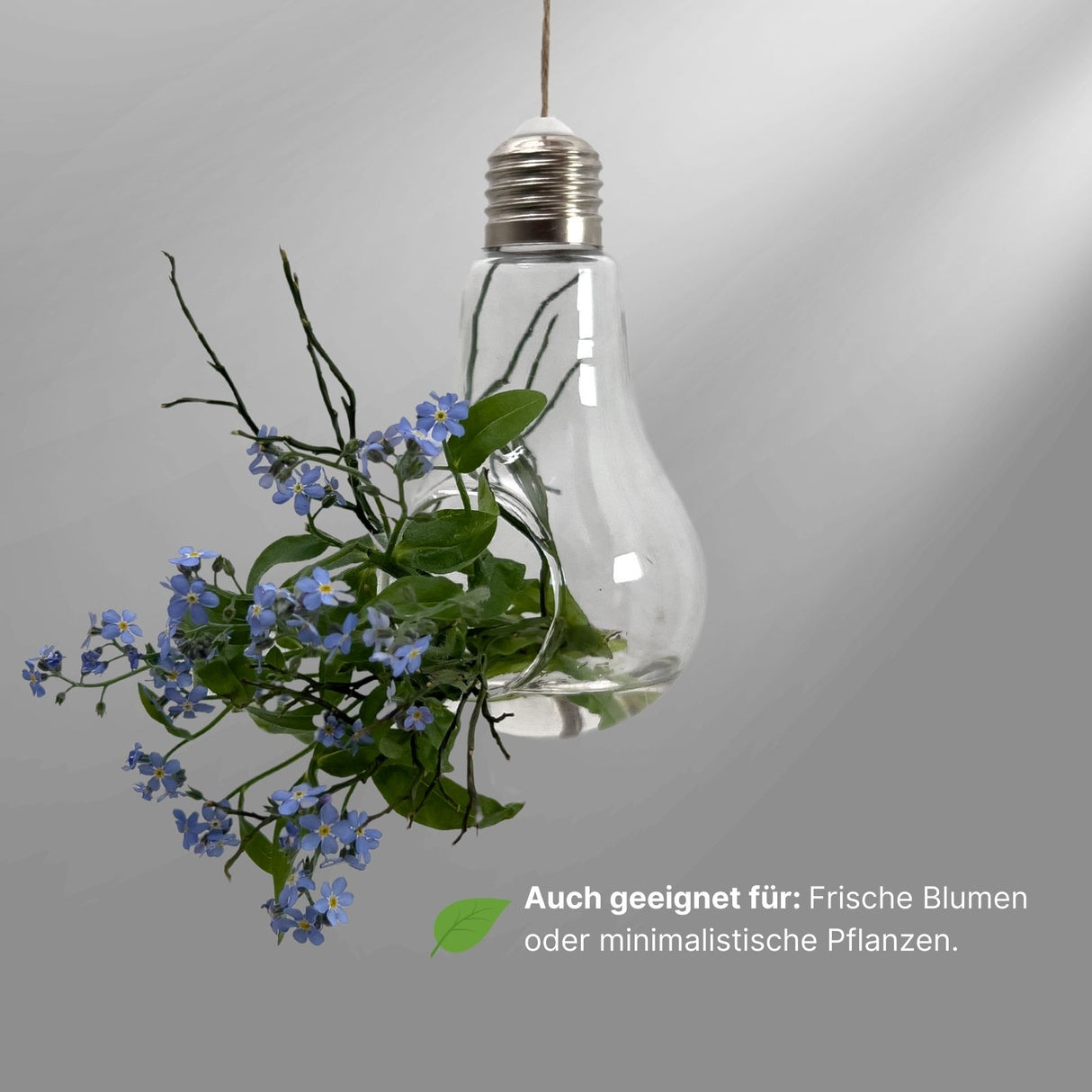 Hängende Glasvase Glühbirnenform Setzlingvase Vase Dekoration