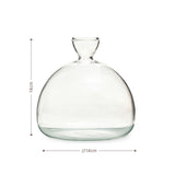 Avocado-Blumentopf Avocado-Anzucht Hydrokultur-Vase Glas-Pflanztopf