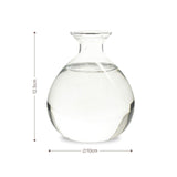 Avocadobaum-Glas Avocado-Vase Hydrokultur-Vase Hyazinthenglas