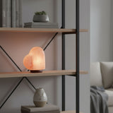 Himalaya-Salzlampe Kristallsalzleuchte Salzkristalllampe Dekotischlampe