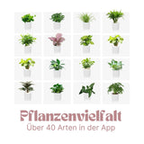 Smarter Blumentopf USB-Pflanzenübertopf Elektronischer Blumentopf Smart Plant Pot Ivy Smart Planter