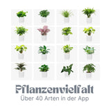 USB-Pflanzenübertopf Smarter Blumentopf Smart Plant Pot Elektronischer Blumentopf Ivy Smart Planter