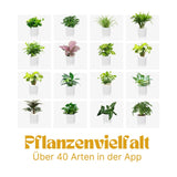 Elektronischer Blumentopf Smarter Blumentopf USB-Pflanzenübertopf Smart Plant Pot Ivy Smart Planter