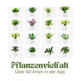 Smart Plant Pot Elektronischer Blumentopf USB-Pflanzenübertopf Smarter Blumentopf Ivy Smart Planter
