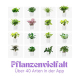 Ivy Smart Planter Smarter Blumentopf Elektronischer Blumentopf Smart Plant Pot USB-Pflanzenübertopf