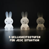 XXL LED-Hasen-Nachtlicht Dekoleuchte Lichtfigur Kinder-Schlaflicht