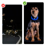 LED-Sicherheits-Hundehalsband Hundehalsband Leuchthalsband Schlauchhalsband