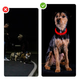 LED-Leuchthalsband Sicherheits-Hundehalsband Hundehalsband Schlauchhalsband