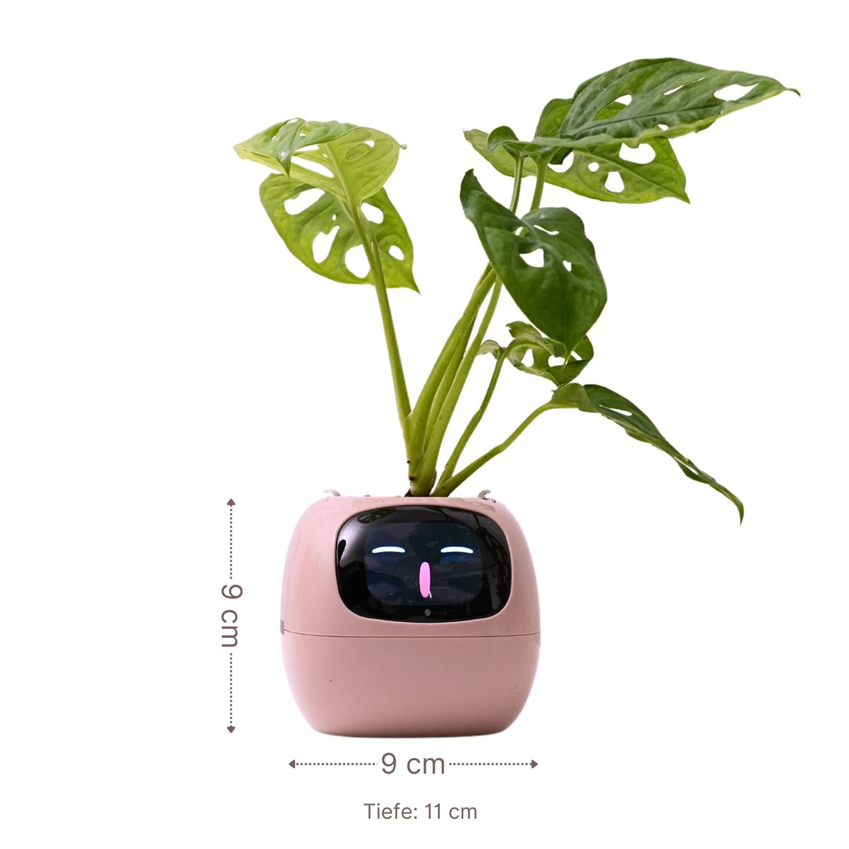 Smarter Blumentopf USB-Pflanzenübertopf Elektronischer Blumentopf Smart Plant Pot Ivy Smart Planter