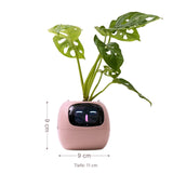 Smarter Blumentopf USB-Pflanzenübertopf Elektronischer Blumentopf Smart Plant Pot Ivy Smart Planter